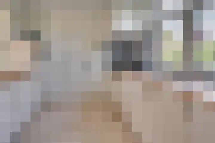 Pastoorstraat 4 Grubbenvorst thumbnail 26