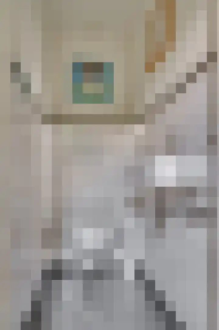Pastoorstraat 4 Grubbenvorst thumbnail 33
