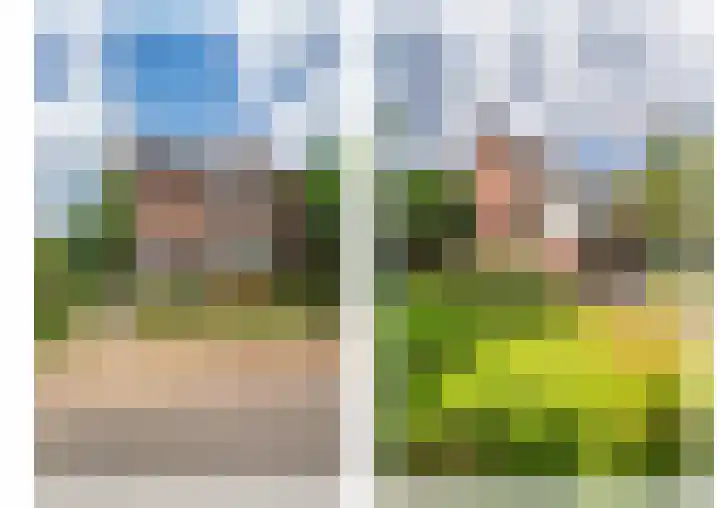 Pastoorstraat 4 Grubbenvorst thumbnail 5