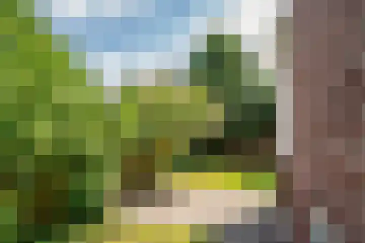 Pastoorstraat 4 Grubbenvorst thumbnail 55