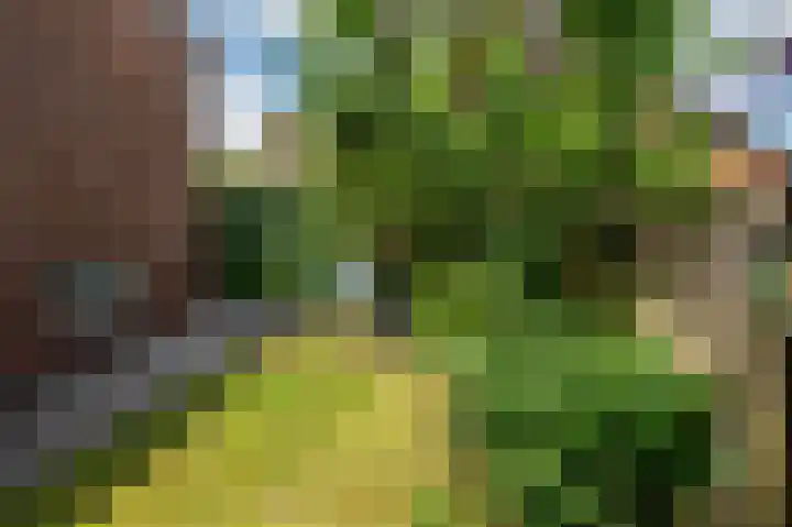 Pastoorstraat 4 Grubbenvorst thumbnail 56