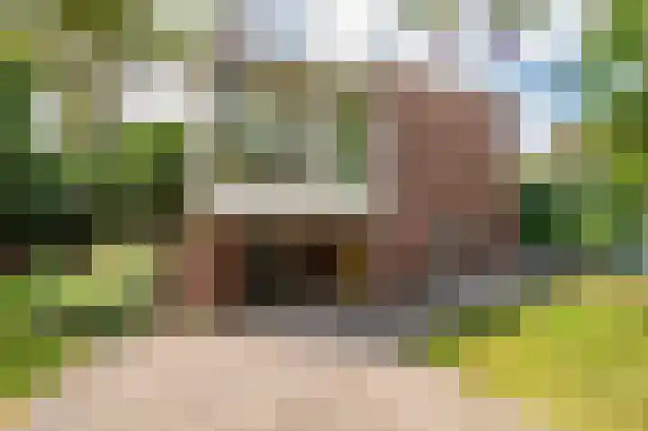Pastoorstraat 4 Grubbenvorst thumbnail 57
