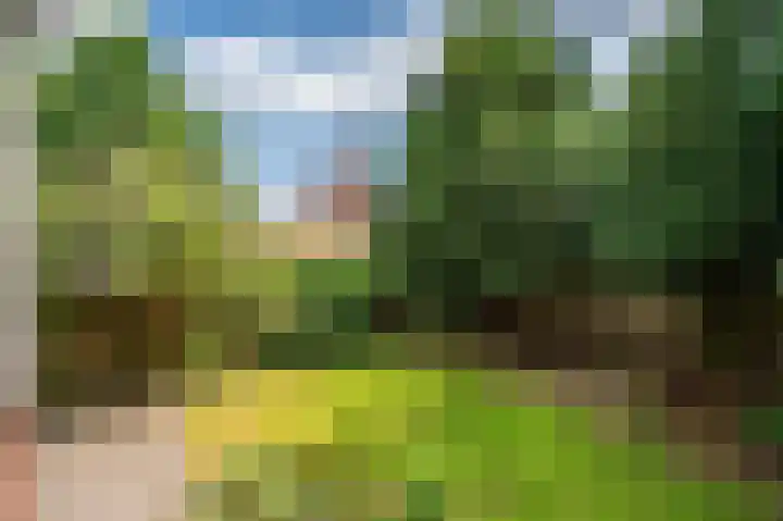 Pastoorstraat 4 Grubbenvorst thumbnail 6