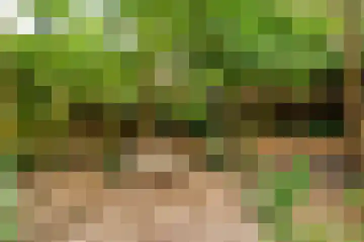 Pastoorstraat 4 Grubbenvorst thumbnail 60