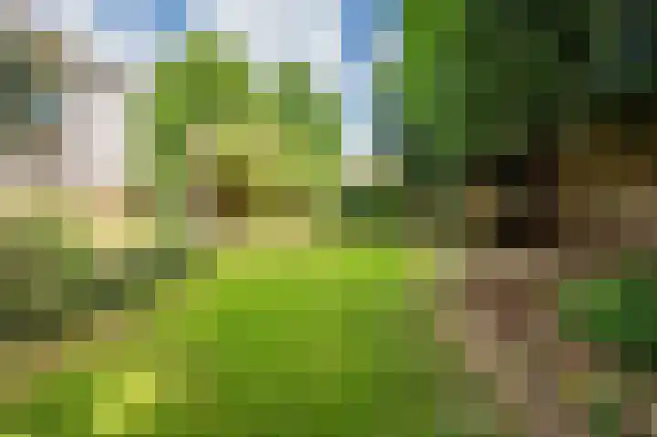 Pastoorstraat 4 Grubbenvorst thumbnail 61