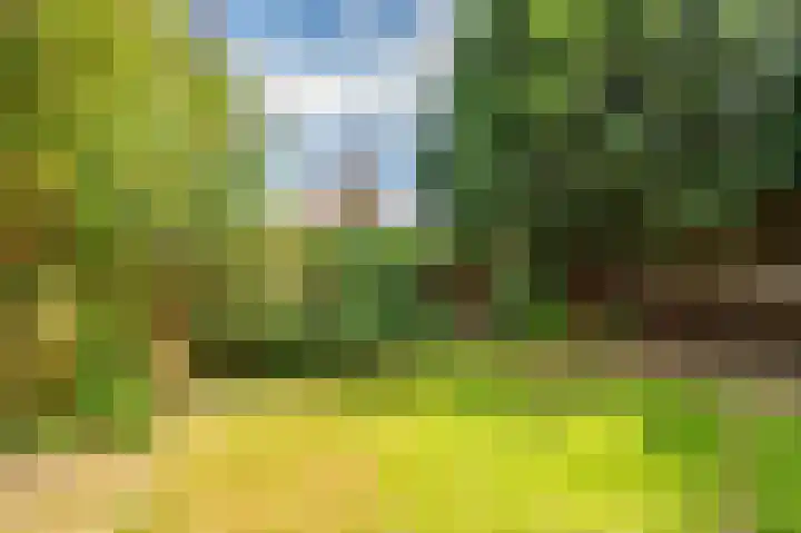 Pastoorstraat 4 Grubbenvorst thumbnail 62