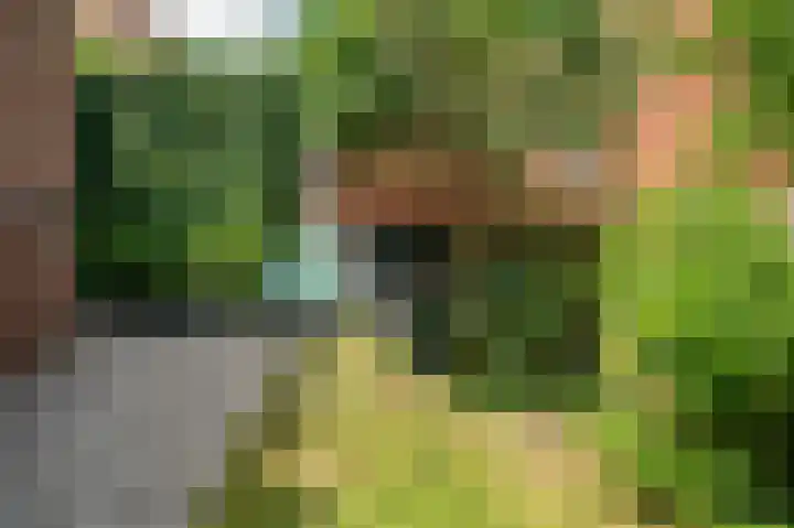 Pastoorstraat 4 Grubbenvorst thumbnail 64