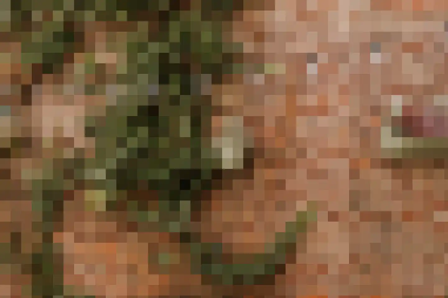 Pastoorswal 11 Roermond thumbnail 25