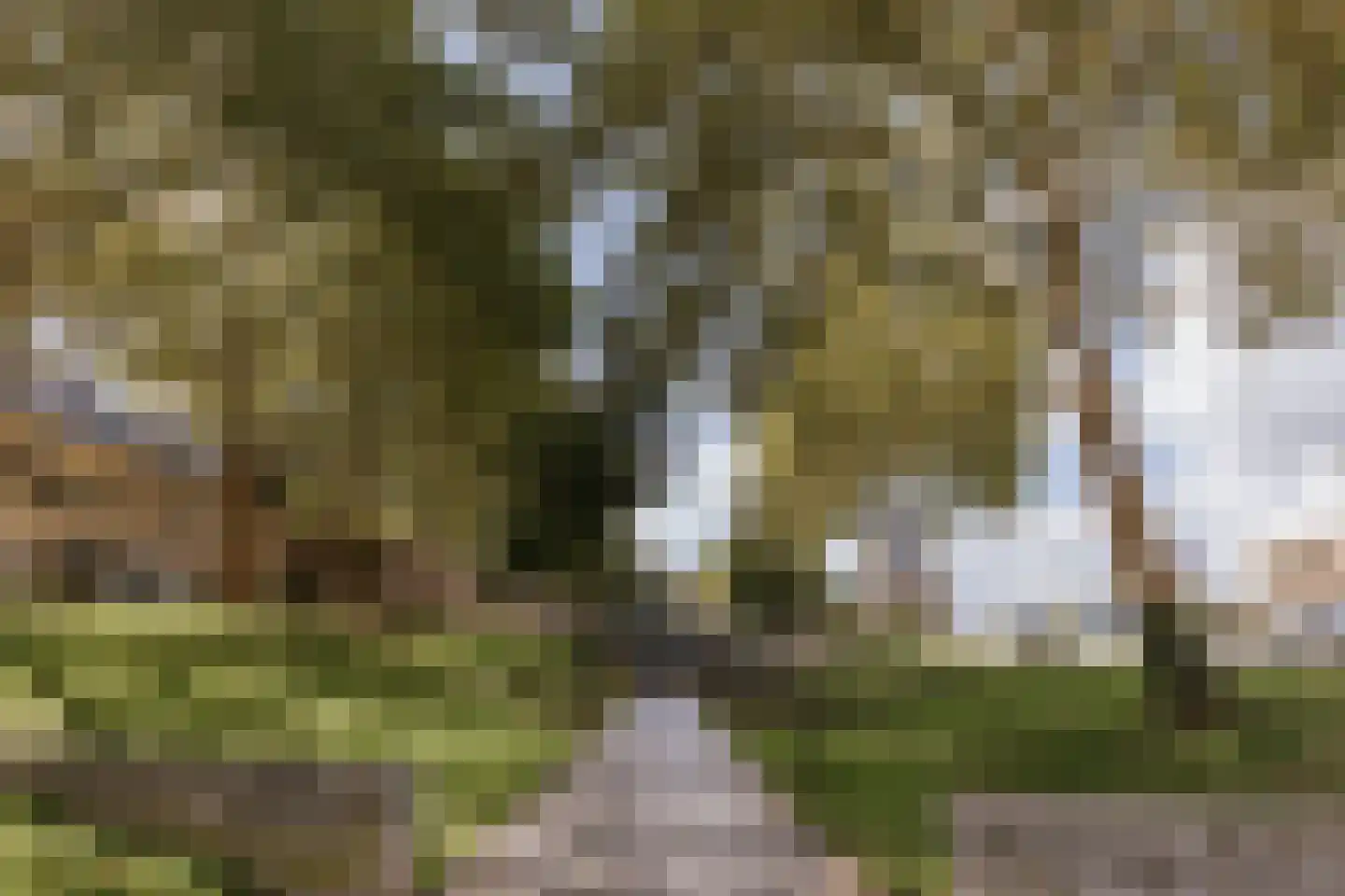 Pastoorswal 11 Roermond thumbnail 50