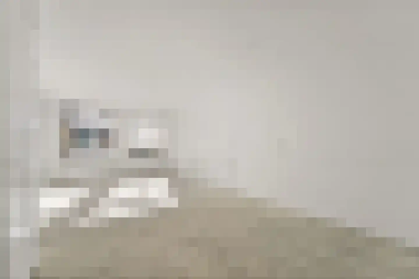 Pastoorswarande 18 Den Haag thumbnail 17