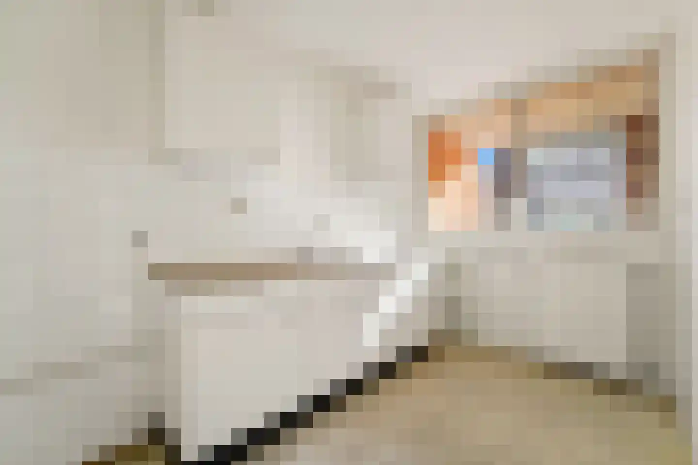 Pastoorswarande 18 Den Haag thumbnail 18