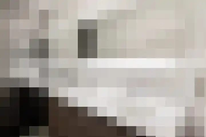 Pastoorswarande 32 Den Haag thumbnail 7