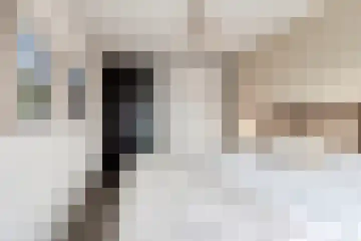 Pastoorswarande 32 Den Haag thumbnail 9