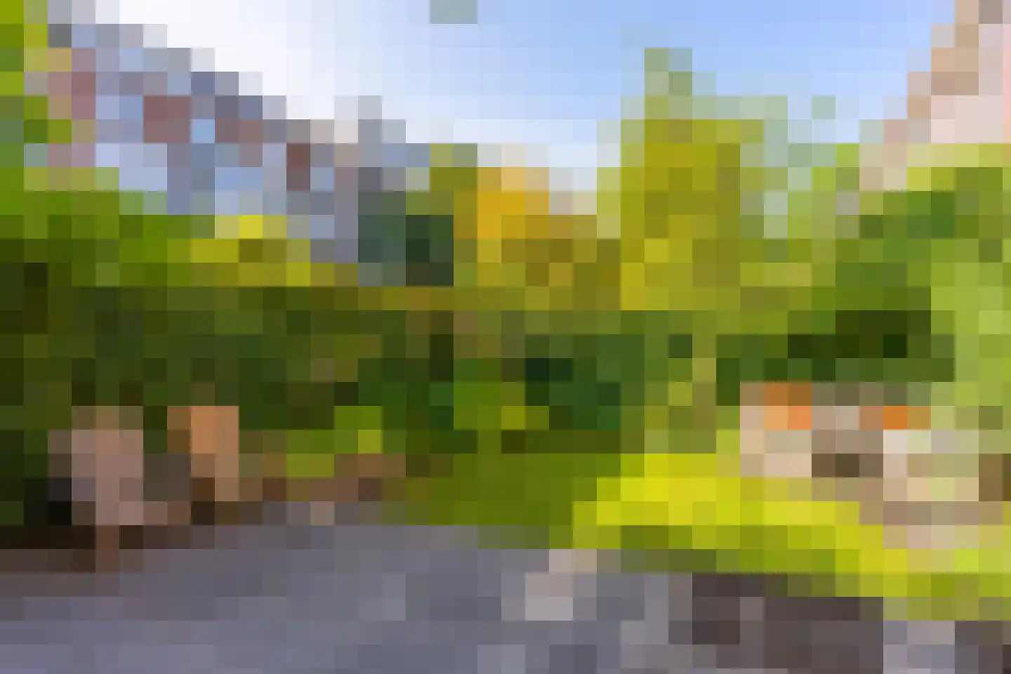 Pastor Stockmannhof 15 Utrecht thumbnail 46
