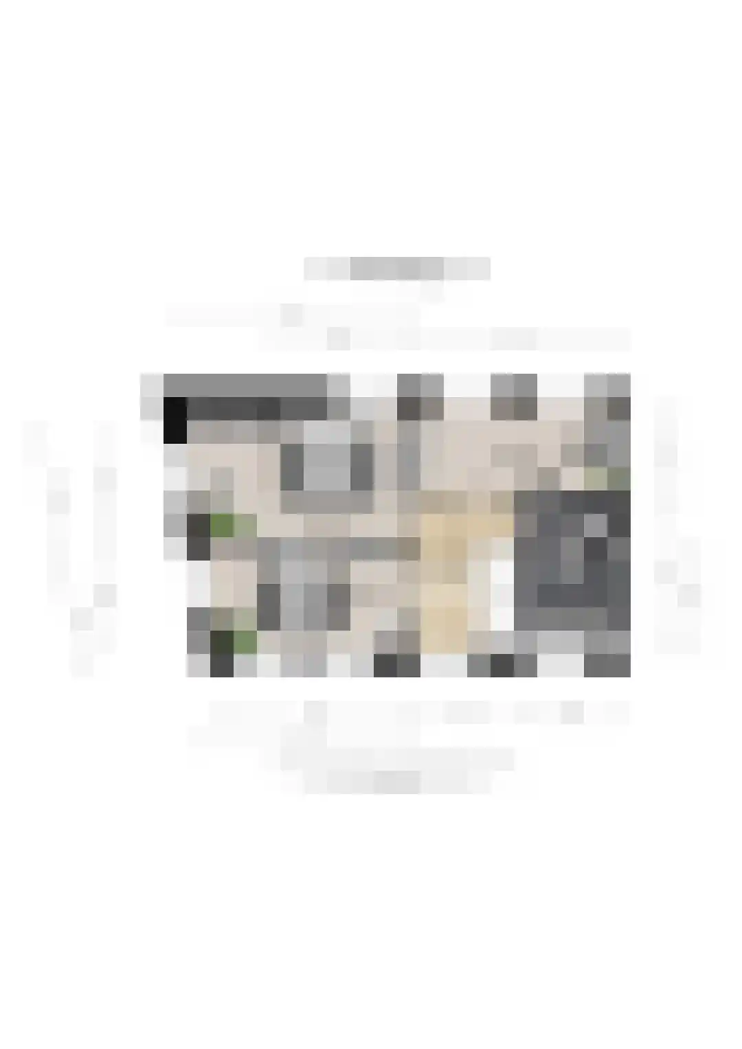 Pastor Stockmannhof 15 Utrecht thumbnail 51