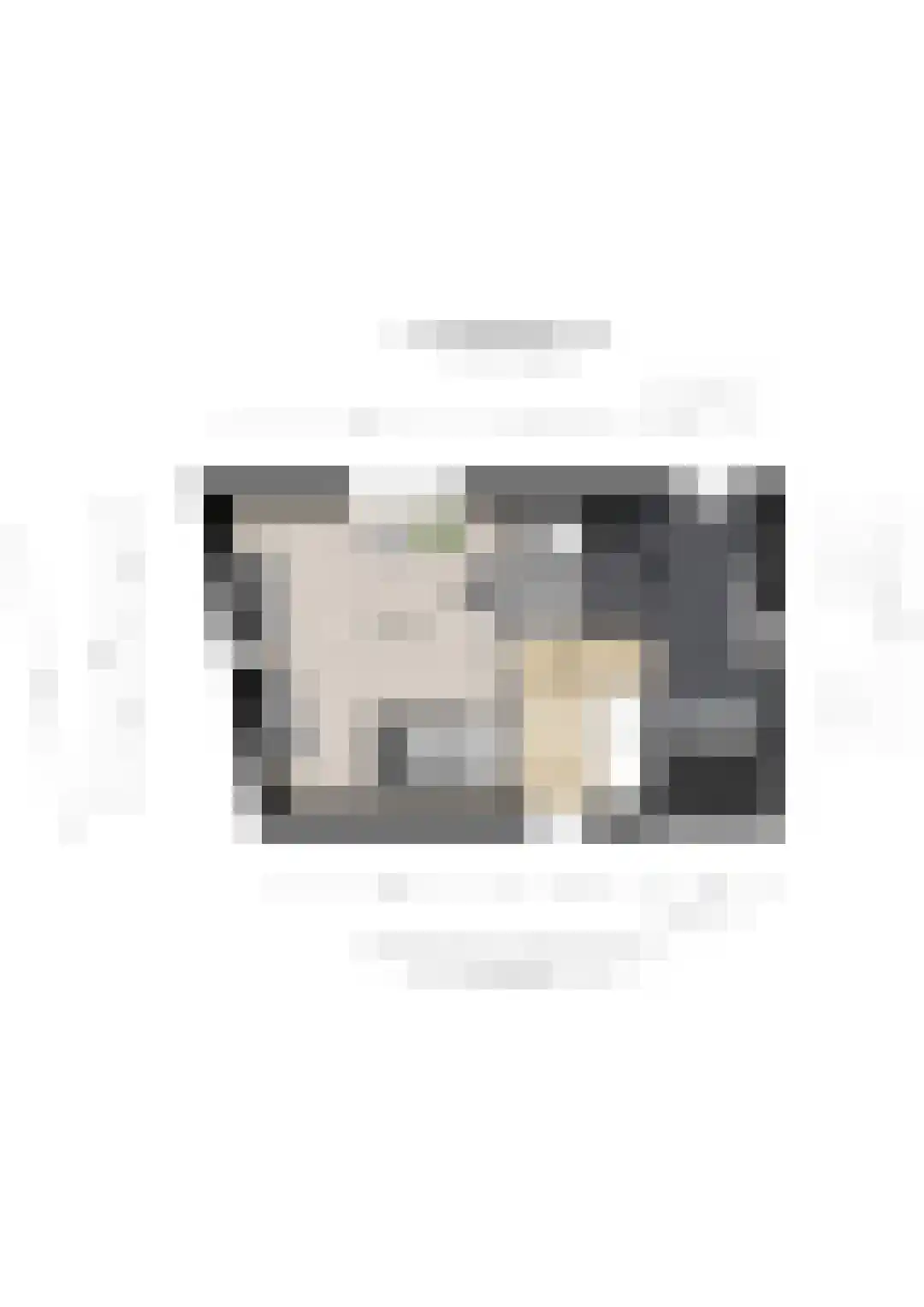 Pastor Stockmannhof 15 Utrecht thumbnail 52