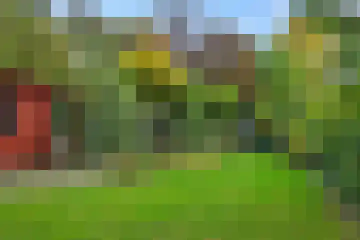 Pastorale 18 Dronten foto 2