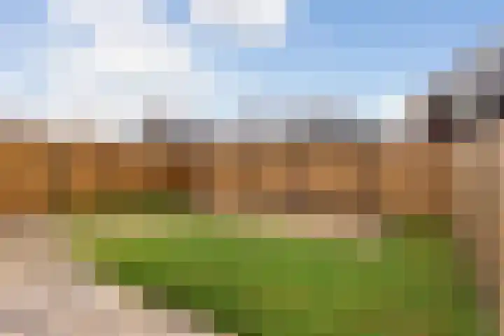 Pastorale 18 Dronten thumbnail 25