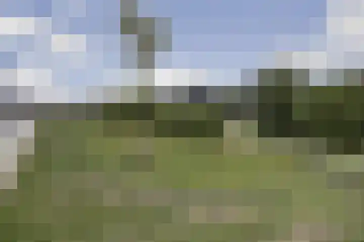 Pastorale 18 Dronten thumbnail 27