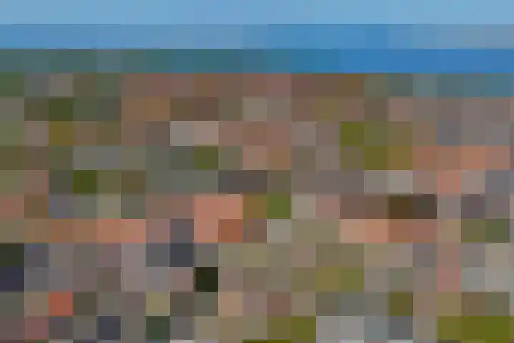 Pastorale 18 Dronten foto 3