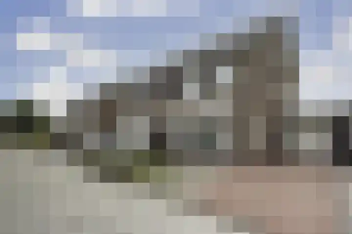 Pastorale 18 Dronten thumbnail 5