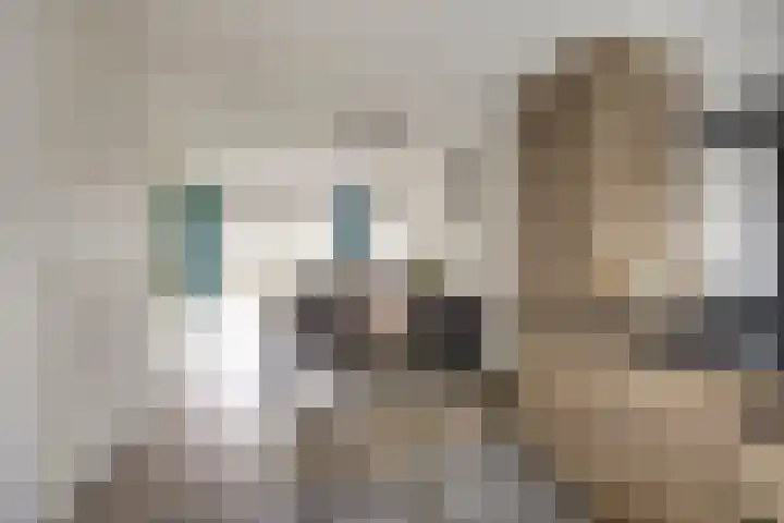 Pastorale 7 Dronten thumbnail 18