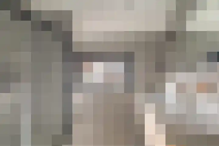 Pastorale 7 Dronten foto 2