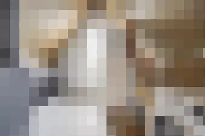 Pastorale 7 Dronten thumbnail 31