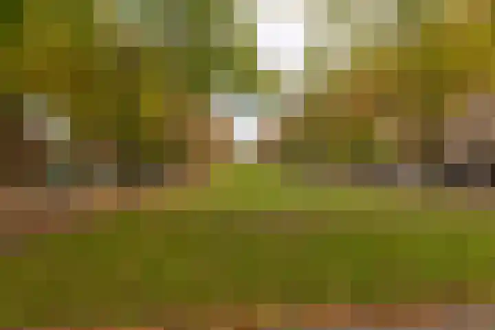 Pastorale 7 Dronten thumbnail 35