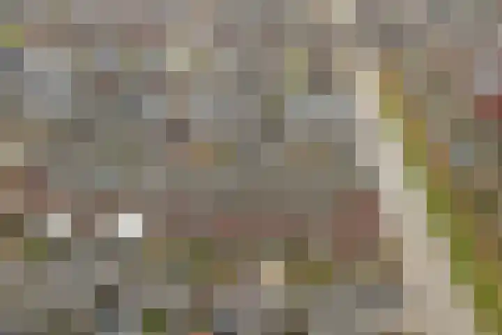Pastorale 7 Dronten thumbnail 36