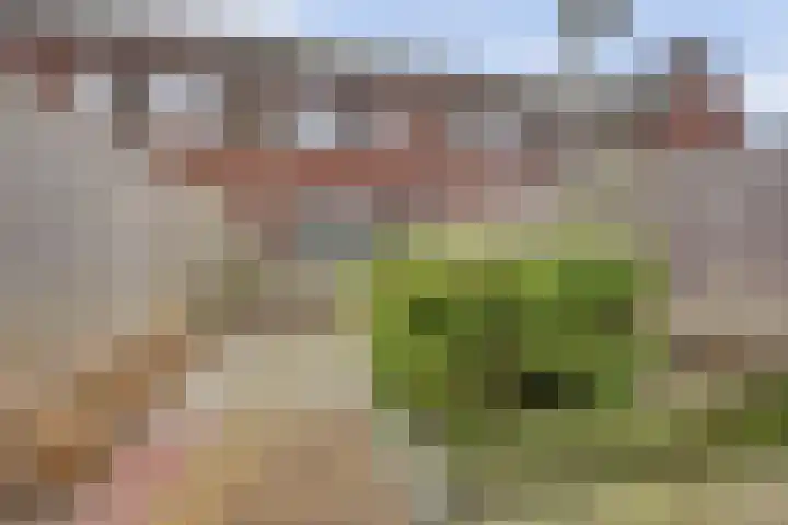 Pastorale 7 Dronten thumbnail 38