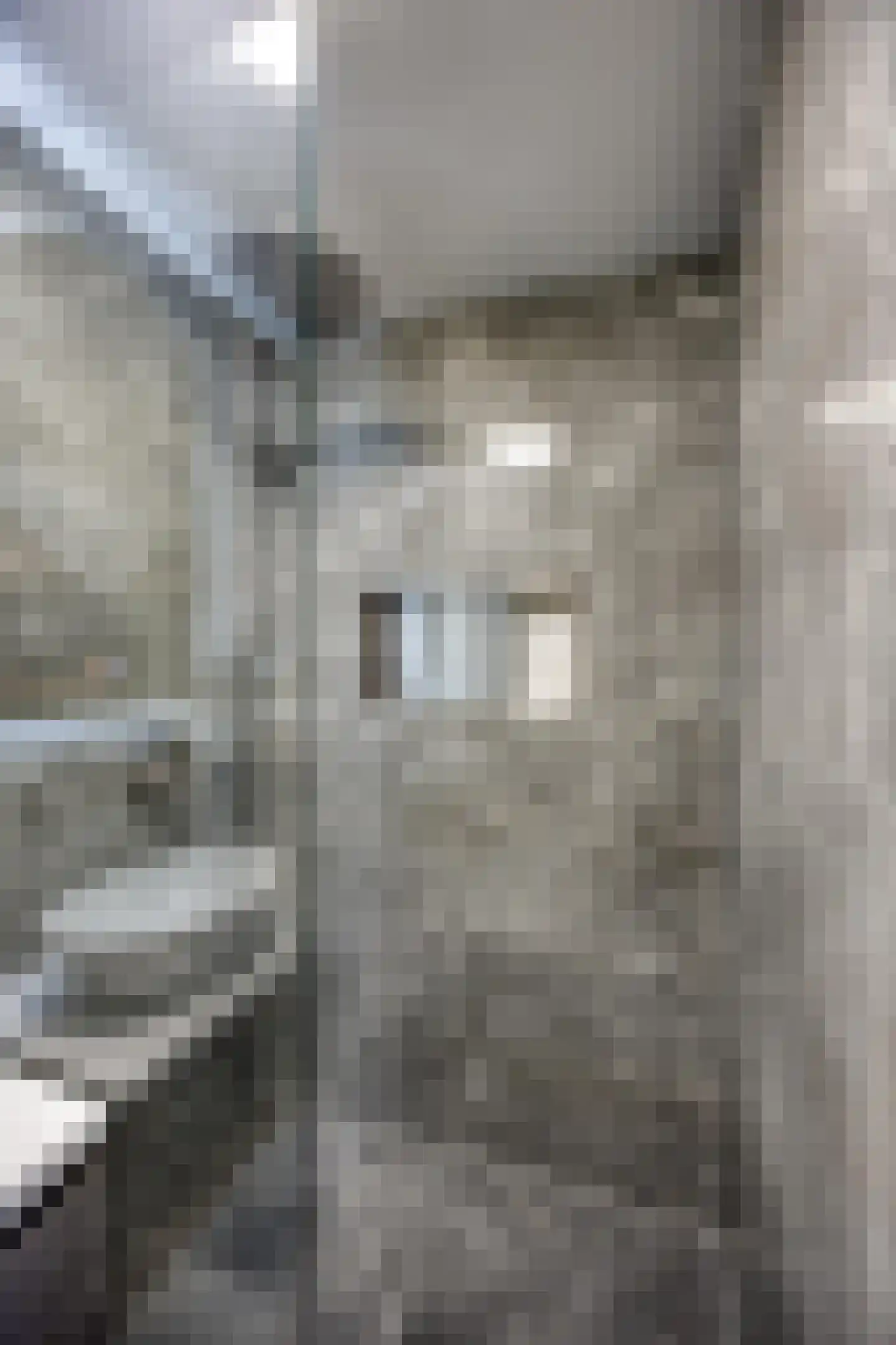 Pastoriedijk 40 Pernis Rotterdam thumbnail 36