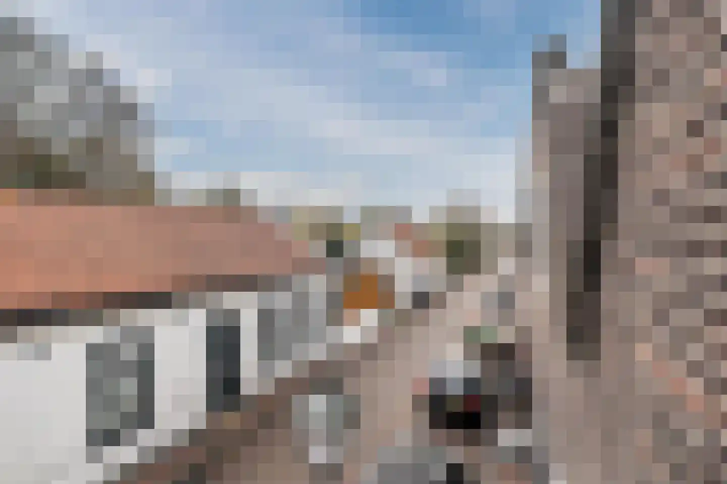 Pastoriedijk 48 Pernis Rotterdam thumbnail 33
