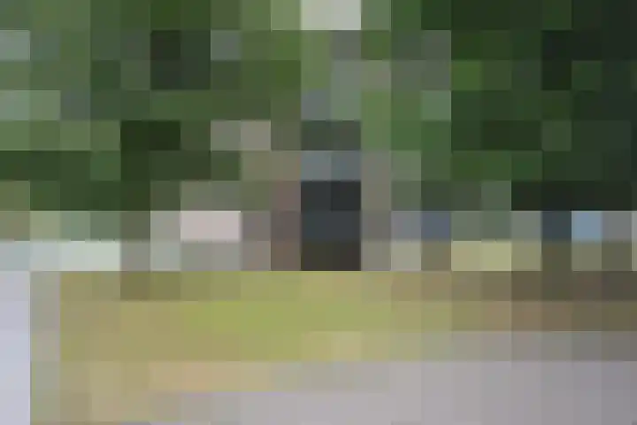 Pastoriekamp 39 Burgum thumbnail 10