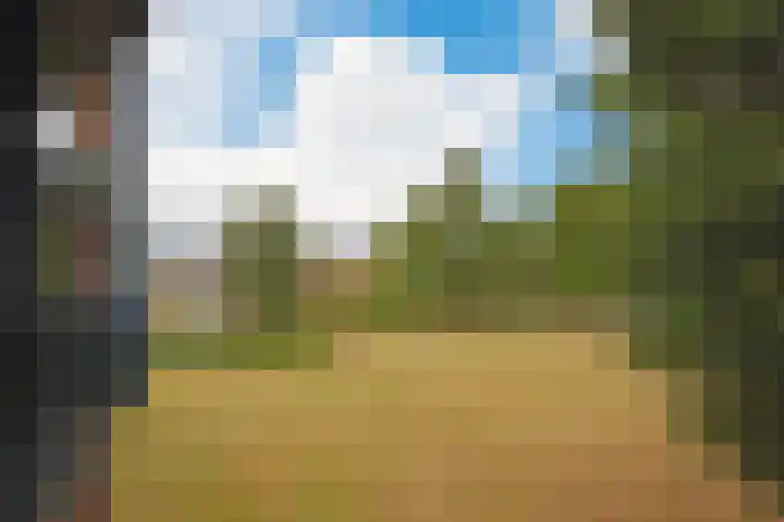 Pastoriekamp 39 Burgum thumbnail 24