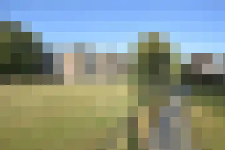 Pastoriekamp 39 Burgum thumbnail 4