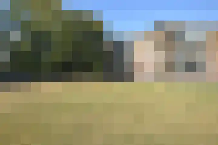 Pastoriekamp 39 Burgum thumbnail 5