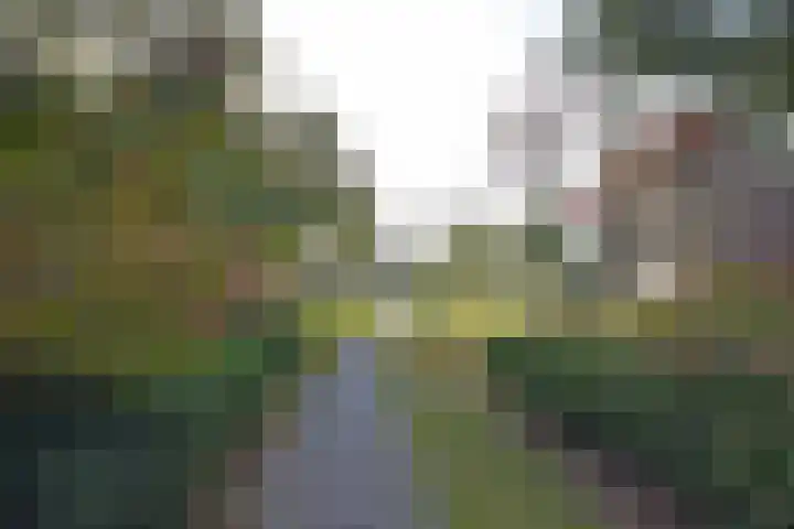 Pastoriekamp 39 Burgum thumbnail 6