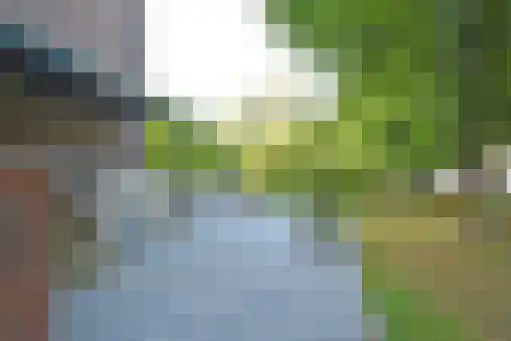 Pastoriekamp 39 Burgum thumbnail 7