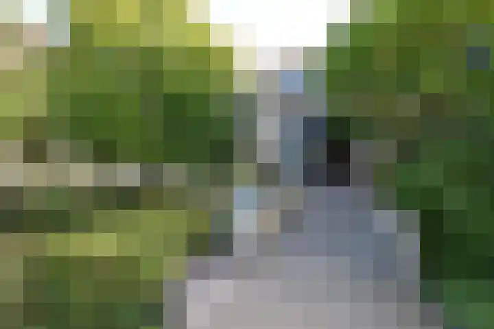 Pastoriekamp 39 Burgum thumbnail 9
