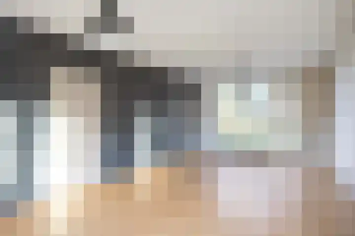Pastorielaan 1 A Zuidwolde thumbnail 10