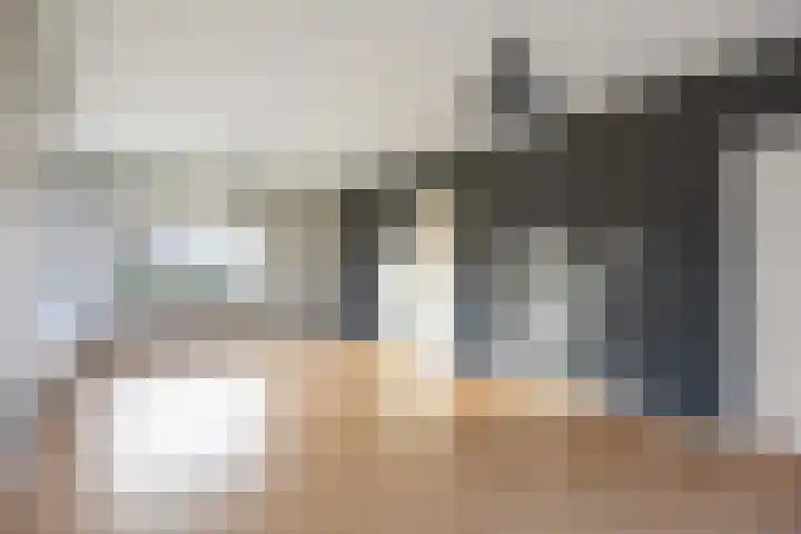 Pastorielaan 1 A Zuidwolde thumbnail 12