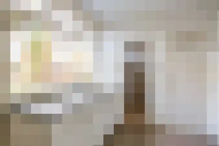 Pastorielaan 1 A Zuidwolde thumbnail 15