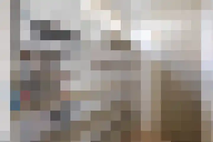 Pastorielaan 1 A Zuidwolde thumbnail 16