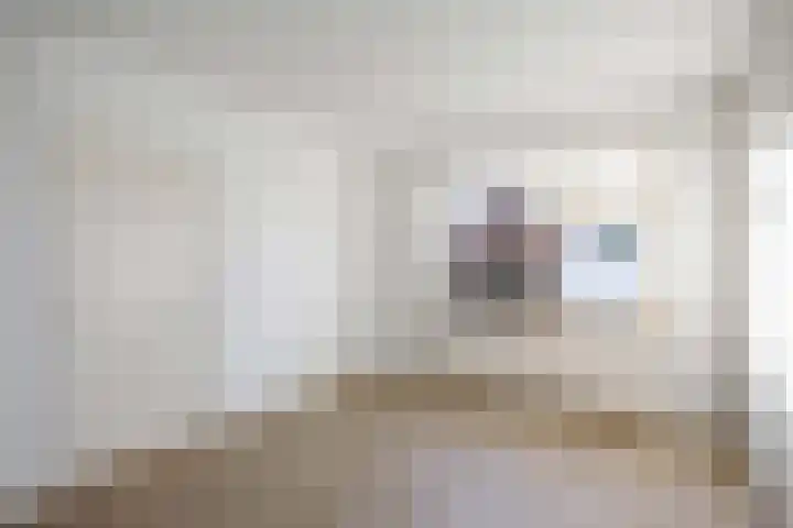 Pastorielaan 1 A Zuidwolde thumbnail 17