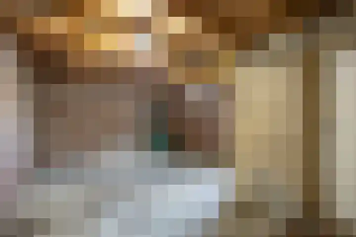 Pastorielaan 1 A Zuidwolde thumbnail 19
