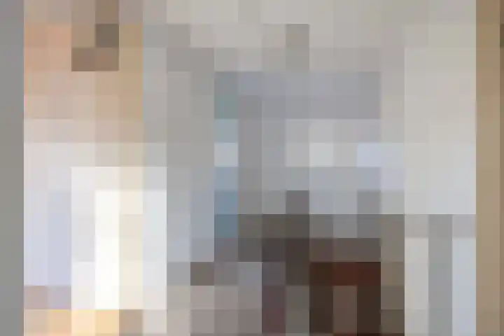 Pastorielaan 1 A Zuidwolde thumbnail 23