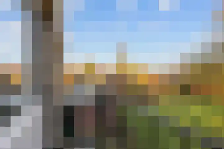 Pastorielaan 1 A Zuidwolde thumbnail 26