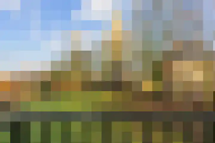 Pastorielaan 1 A Zuidwolde thumbnail 27