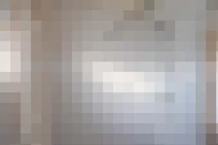 Pastorielaan 1 A Zuidwolde thumbnail 35